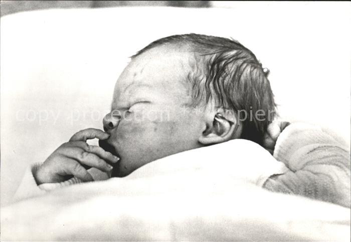 Adel Niederlande Prinz Johan Friso