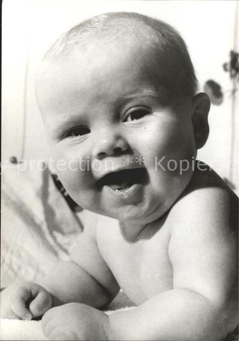 Adel Niederlande Prinz Willem-Alexander