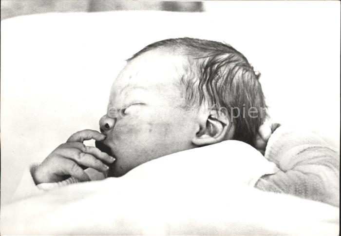 Adel Niederlande Prinz Johan Friso