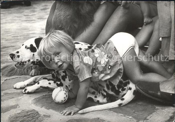 Adel Niederlande Prinz Johan Friso Dalmatiner
