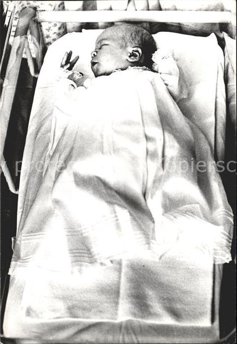 Adel Niederlande Prinz Willem-Alexander