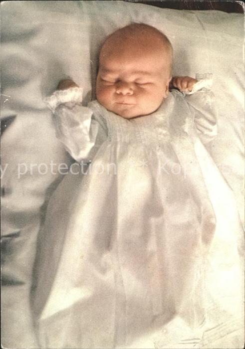 Adel Niederlande Prinz Willem-Alexander