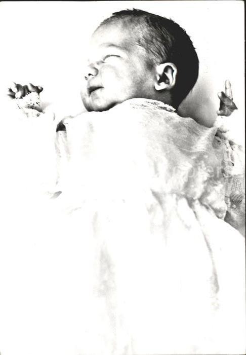 Adel Niederlande Prinz Maurits