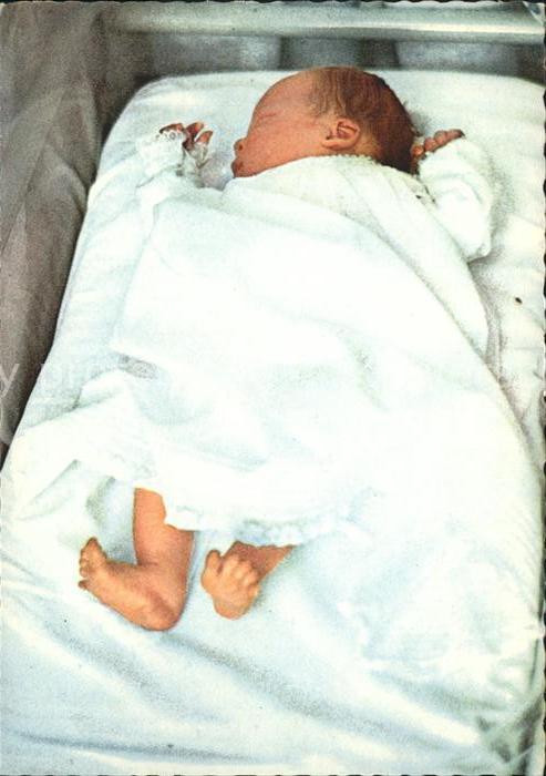 Adel Niederlande Prinz Johan Friso