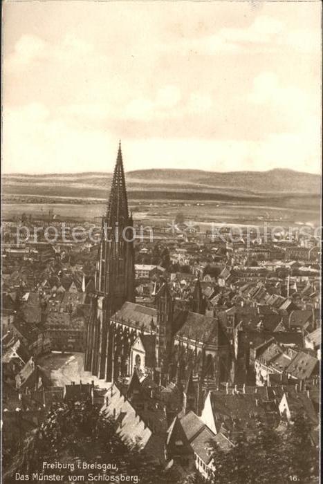 Freiburg Breisgau Muenster vom Schlossberg