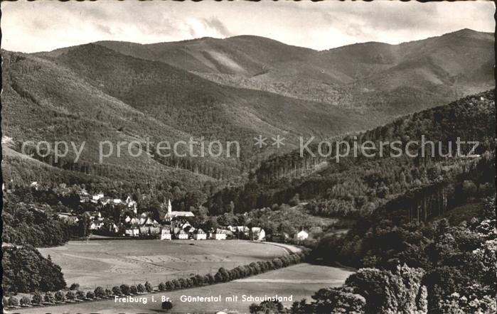 Freiburg Breisgau Guenterstal mit Schauinsland