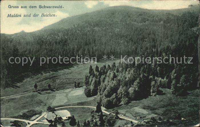 Mulden mit Belchen Panorama