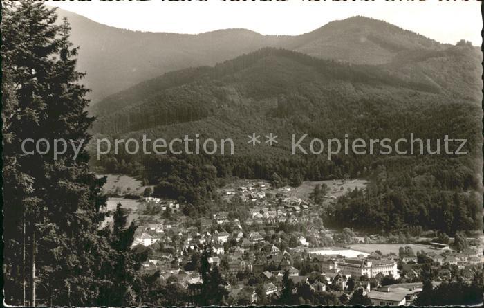 Waldkirch Breisgau mit Wildgehege