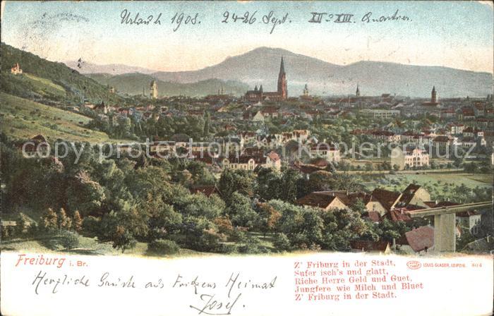 Freiburg Breisgau Totalansicht mit Muenster