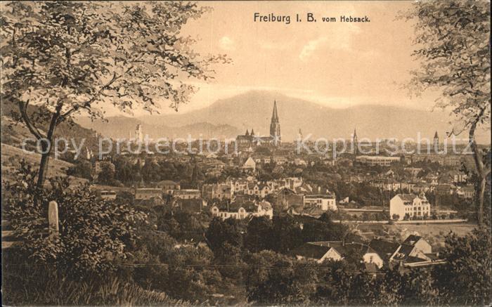 Freiburg Breisgau Blick vom Hebsack