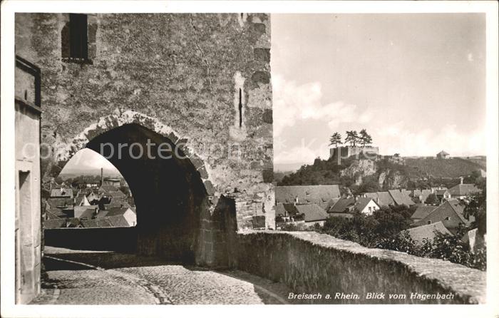 Breisach Rhein Blick vom Hagenbach