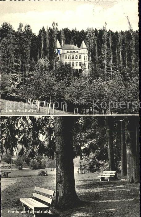 Bad Sachsa Harz Haus Westfalen Partie am Schmelzteich
