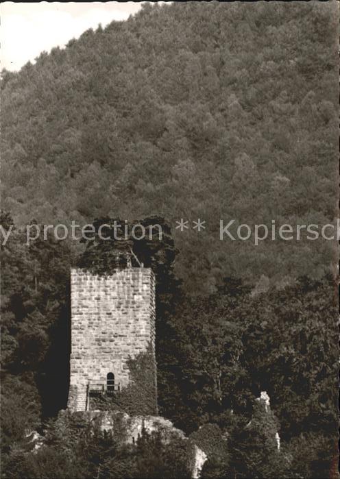 Neckarsteinach Hinterburg