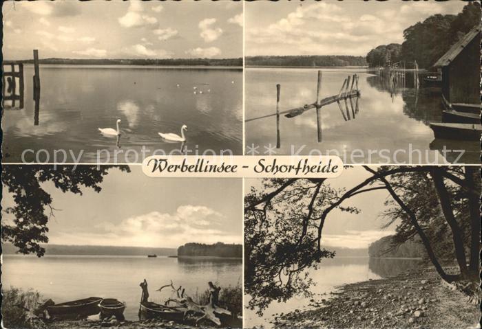 Schorfheide am Werbellinsee