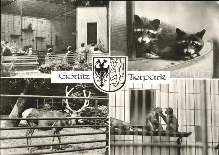 Goerlitz Sachsen Tierpark Hirsch Fuechse Affenhaus