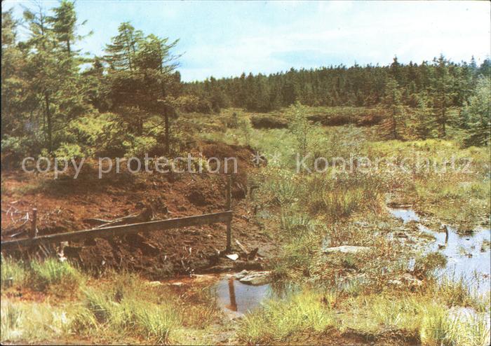 Georgenfeld Georgenfelder Hochmoor Osterzgebirge