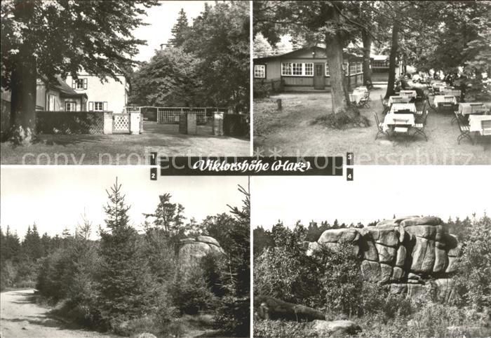Thale Harz Viktorshoehe Teilansichten