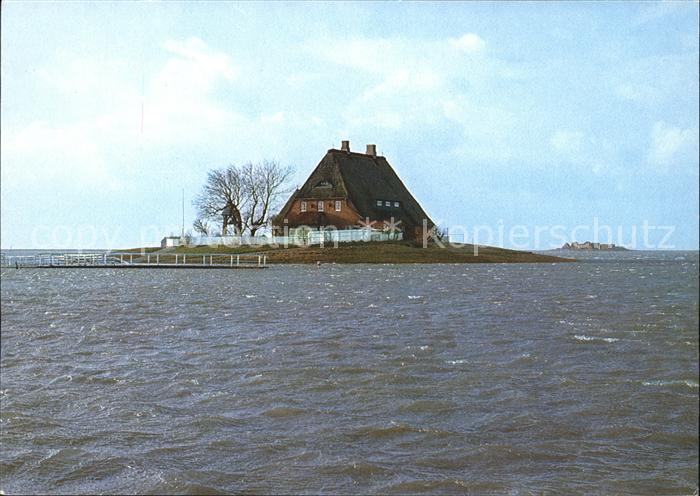 Hallig Hooge Kirchwarft bei Landunter