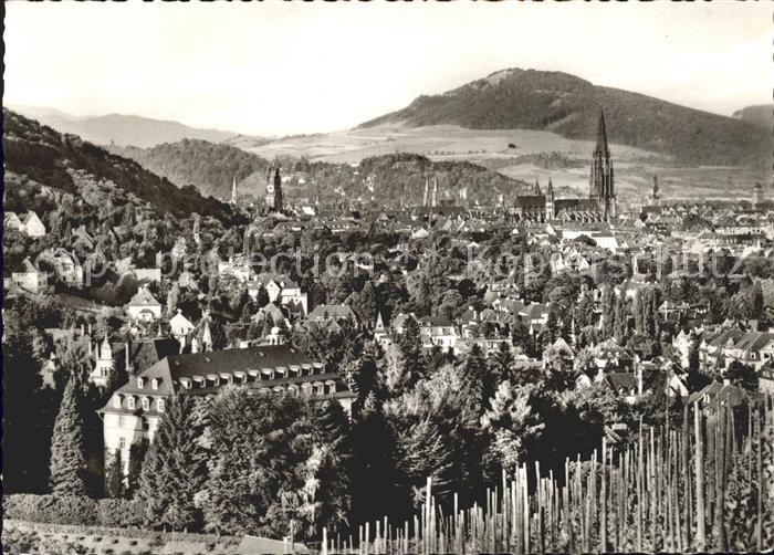 Freiburg Breisgau Panorama mit Muenster