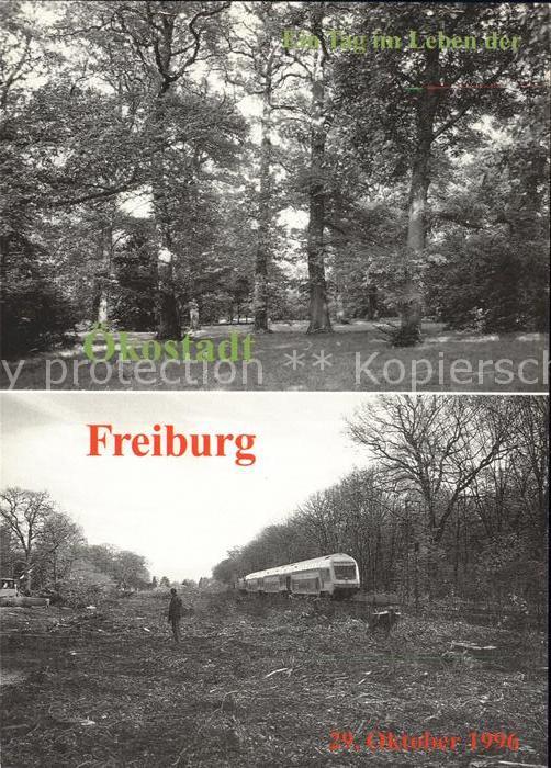 Freiburg Breisgau 1966 Naturdenkmal Konrad Guenther Park zerstoert durch Transit