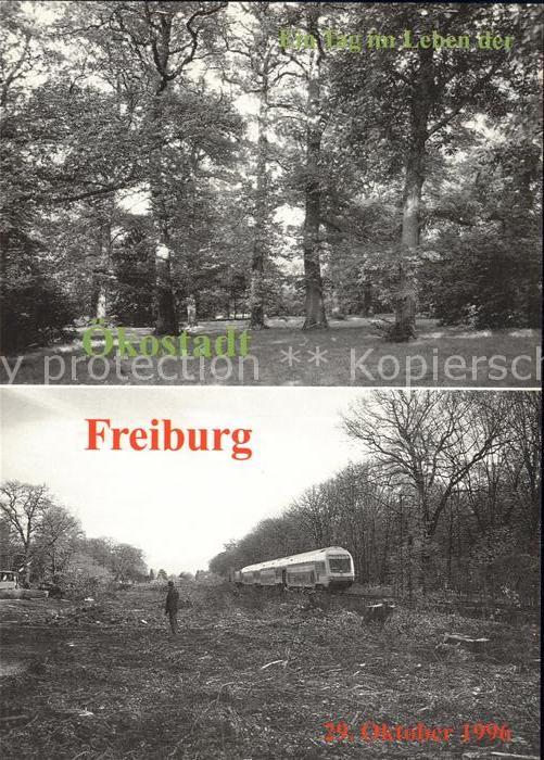 Freiburg Breisgau 1966 Naturdenkmal Konrad Guenther Park zerstoert durch Transit