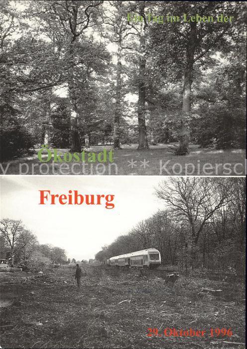 Freiburg Breisgau 1966 Naturdenkmal Konrad Guenther Park zerstoert durch Transit
