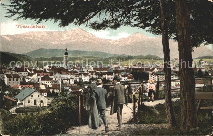 Traunstein Oberbayern Ortsblick