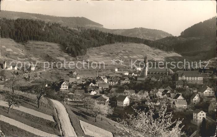 Forbach Baden Totalansicht Murgtal