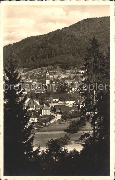 Haslach Kinzigtal Teilansicht