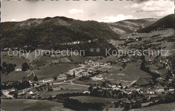 Muenstertal Schwarzwald Panorama