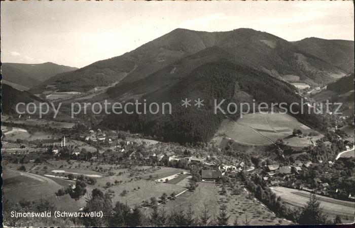 Simonswald Panorama