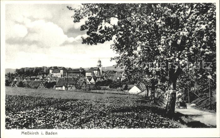 Messkirch Ortsansicht mit Kirche