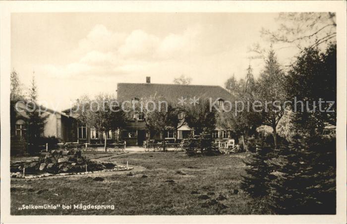 Maegdesprung Selkemuehle