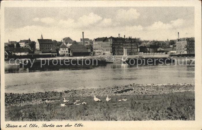 Riesa Sachsen Partie an der Elbe