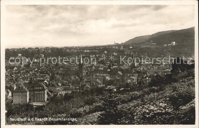 Neustadt Haardt Panorama