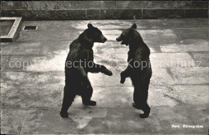 Baeren Bern Baerengraben