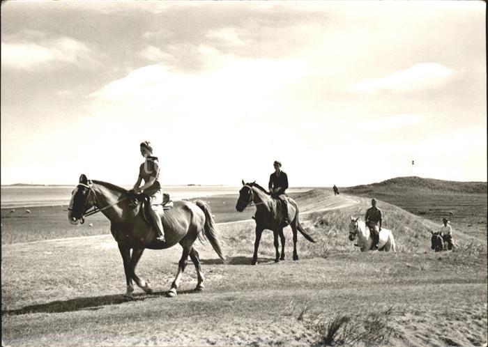 Pferde Reiter am Strand