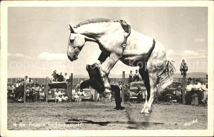 Pferde Headin for Idaho Dirt