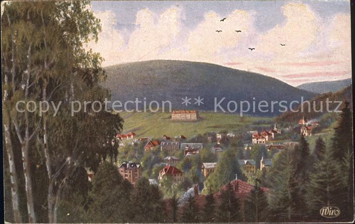 Verlag Wiedemann WIRO Nr. 3565 A Ilmenau Villenviertel