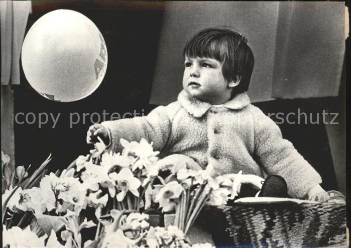 Adel Niederlande Prinz Maurits