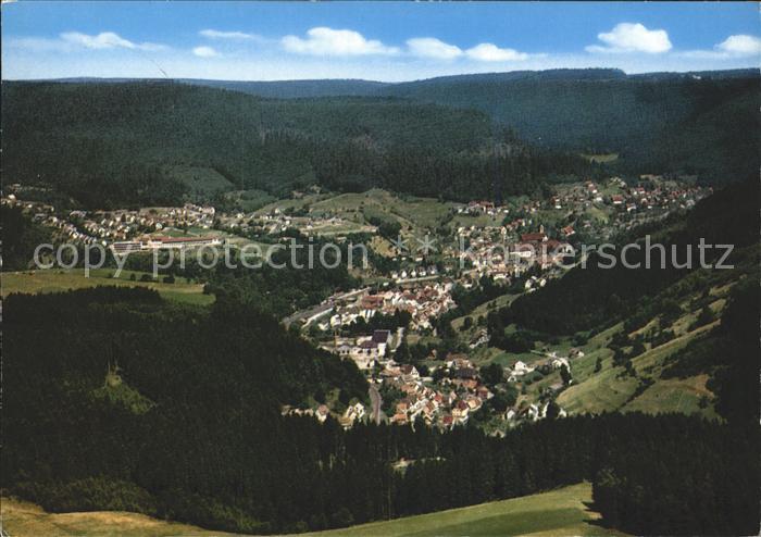 Alpirsbach Panorama Schwarzwald