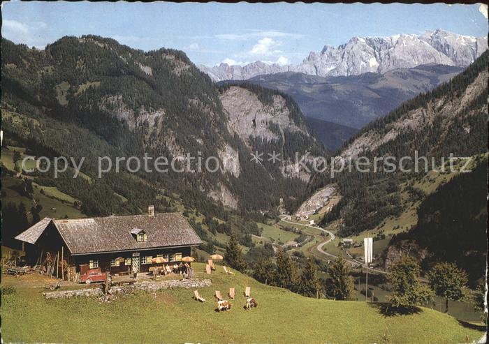 Dorfgastein Jausenstation Strohlehenalm