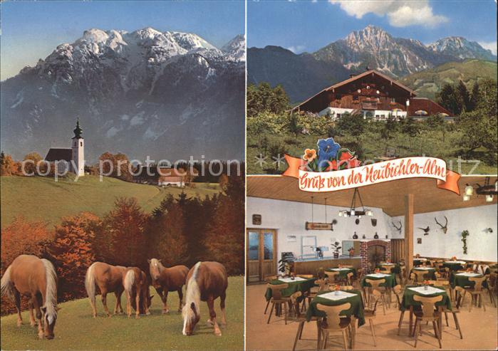 Neubichler Alm Piding Hoegl Untersberg St. Johannishoegl Hochstaufen Zwiesel