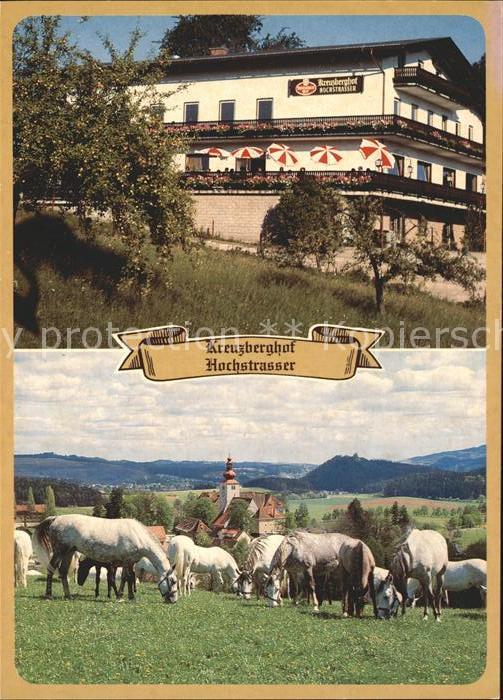Koeflach Panorama-Pension Kreuzberghof Pferde