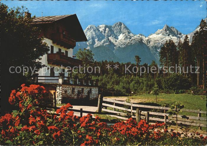 Lofer Gasthof Antonia Loferer Steinberge Sommerpanorama Blumen