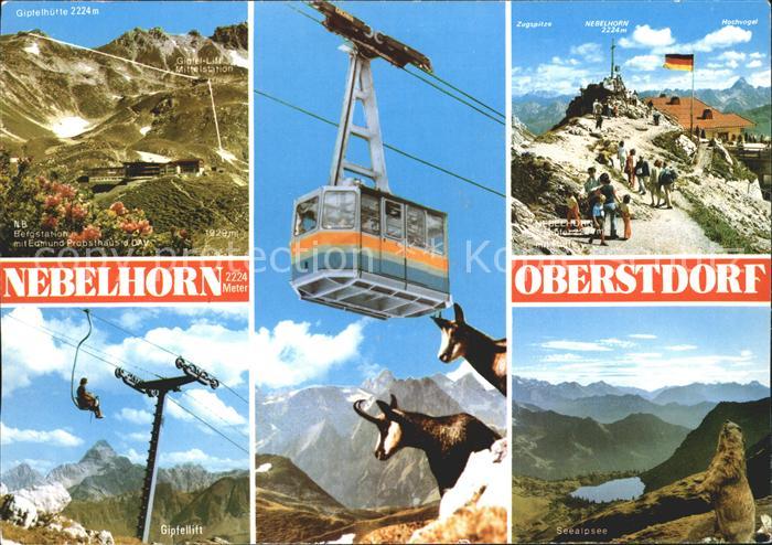 Oberstdorf Nebelhorn Bergbahn Bergstation Gemsen Seealpsee Murmeltier Alpenpanor