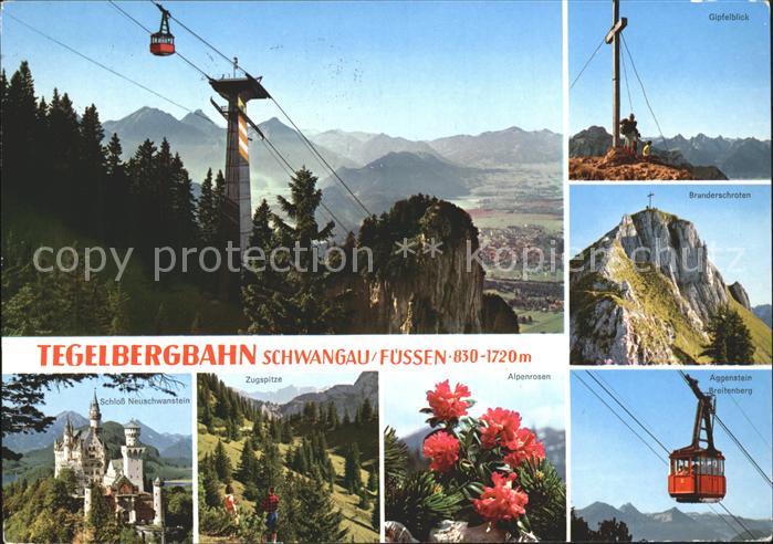 Schwangau Tegelbergbahn Gipfelkreuz Schloss Neuschwanstein Zugspitze Alpenrosen