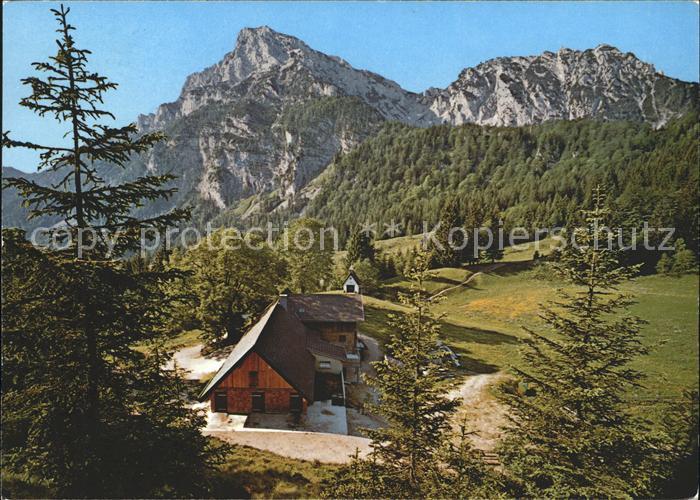 Piding Steineralm mit Hochstaufen und Mittelstaufen Sommerpanorama