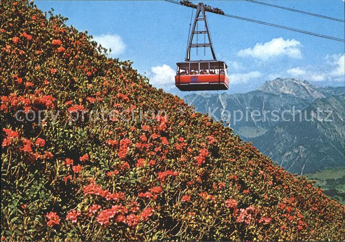 Oberstdorf Fellhornbahn mit Blick zum Nebelhorn Alpenflora