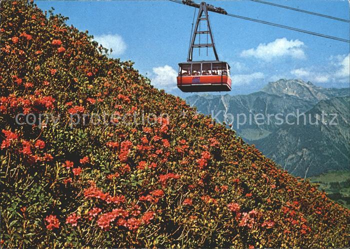 Oberstdorf Fellhornbahn mit Blick zum Nebelhorn Alpenflora
